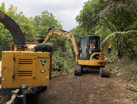 Land clearing