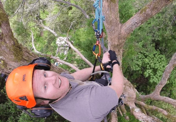 Nick Barnett - Qualified Arborists in Nelson / Tasman